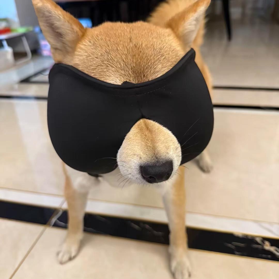 小庸日记