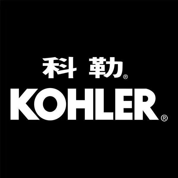 科勒马桶小助手