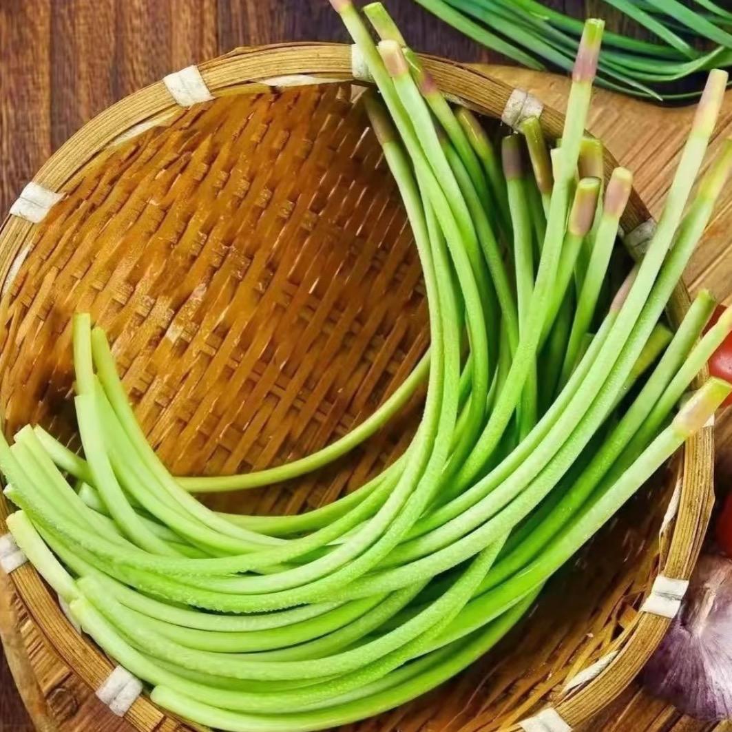 兰陵蔬菜生态园3