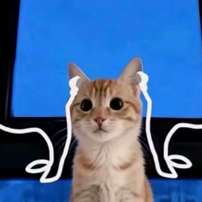 又头像