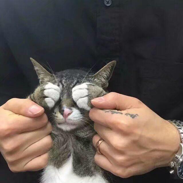 Zss（三角洲行动）