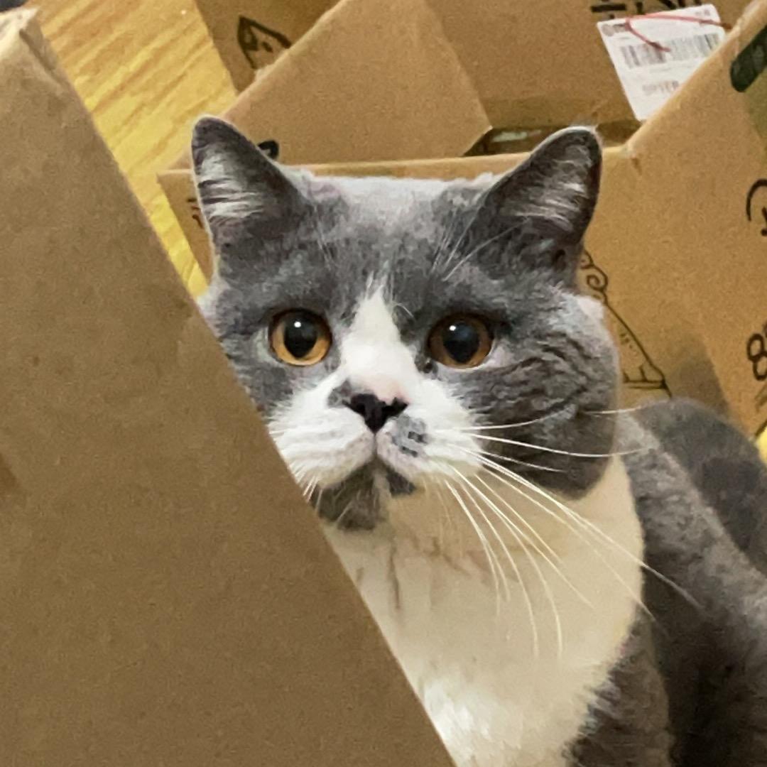 🍞面包三件8️⃣折𝙐𝙢𝙚𝙧🤔