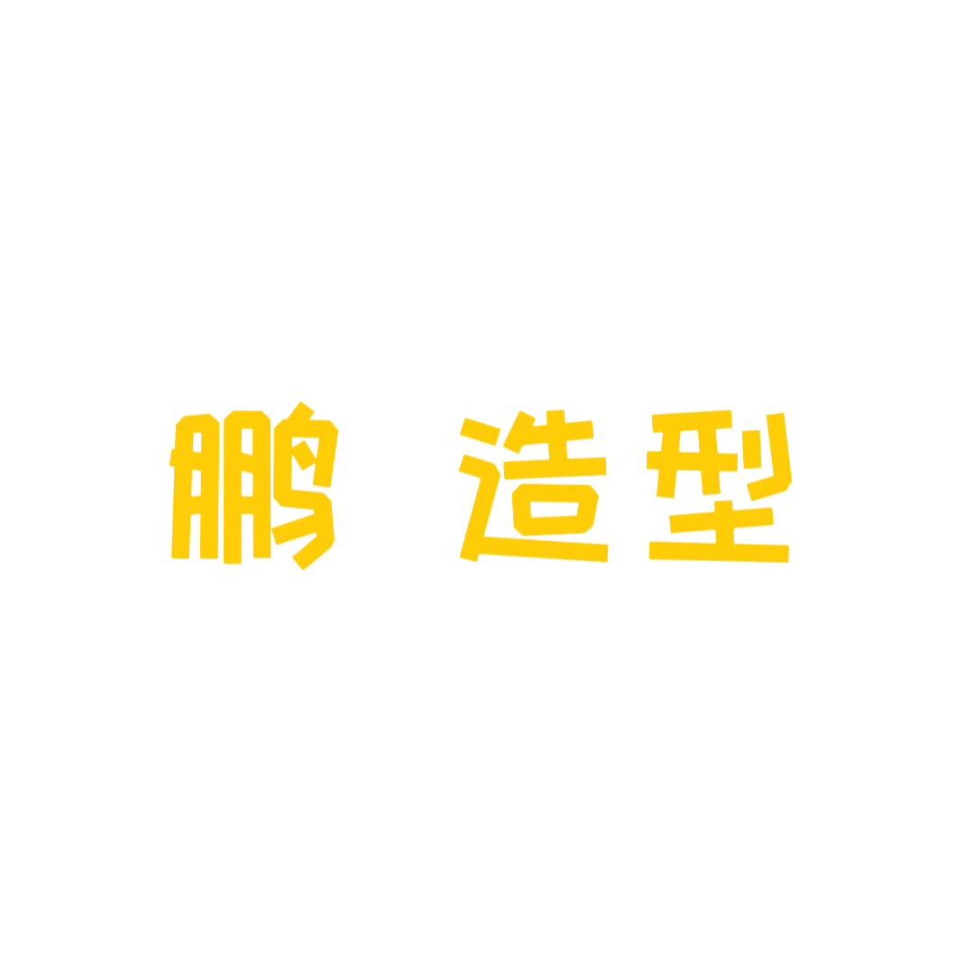 鹏造型