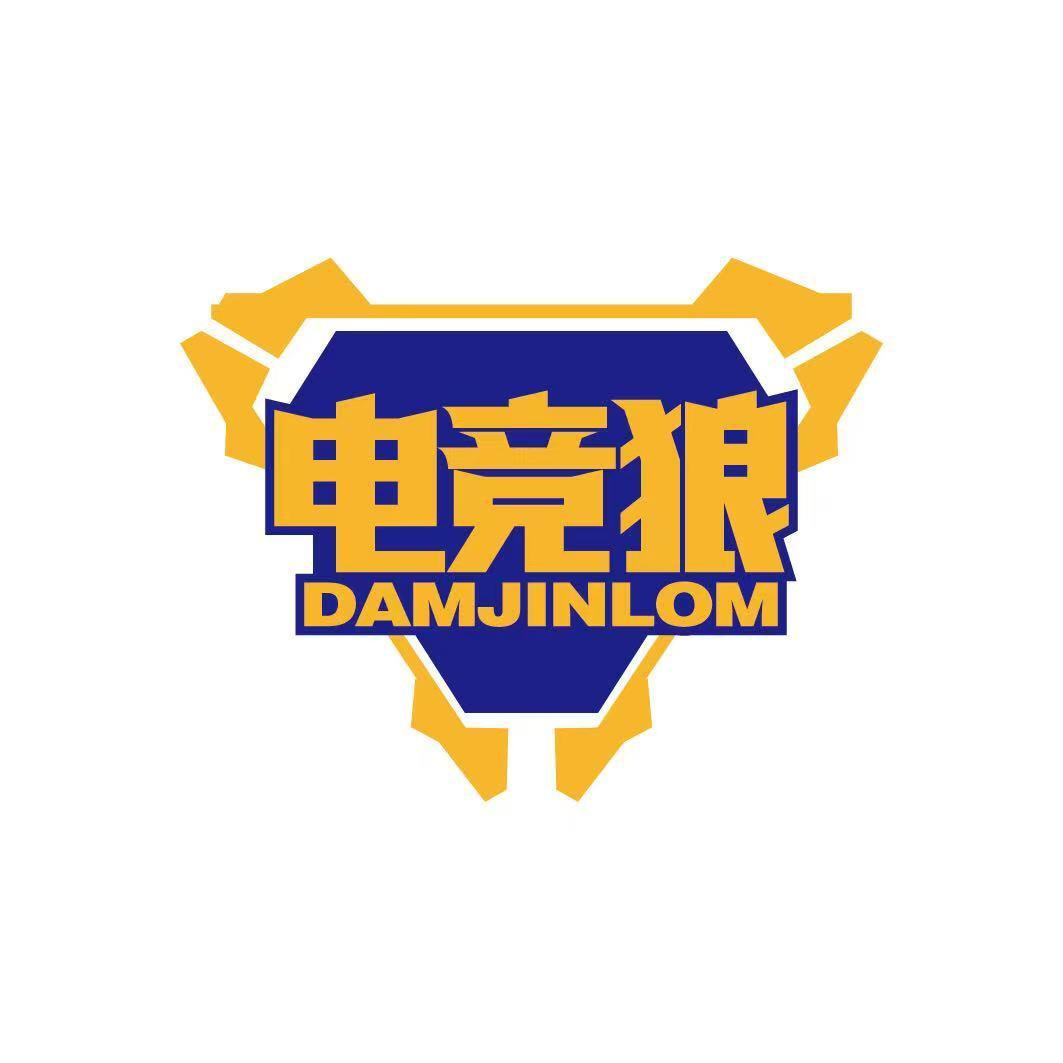 电竞狼网咖官方号