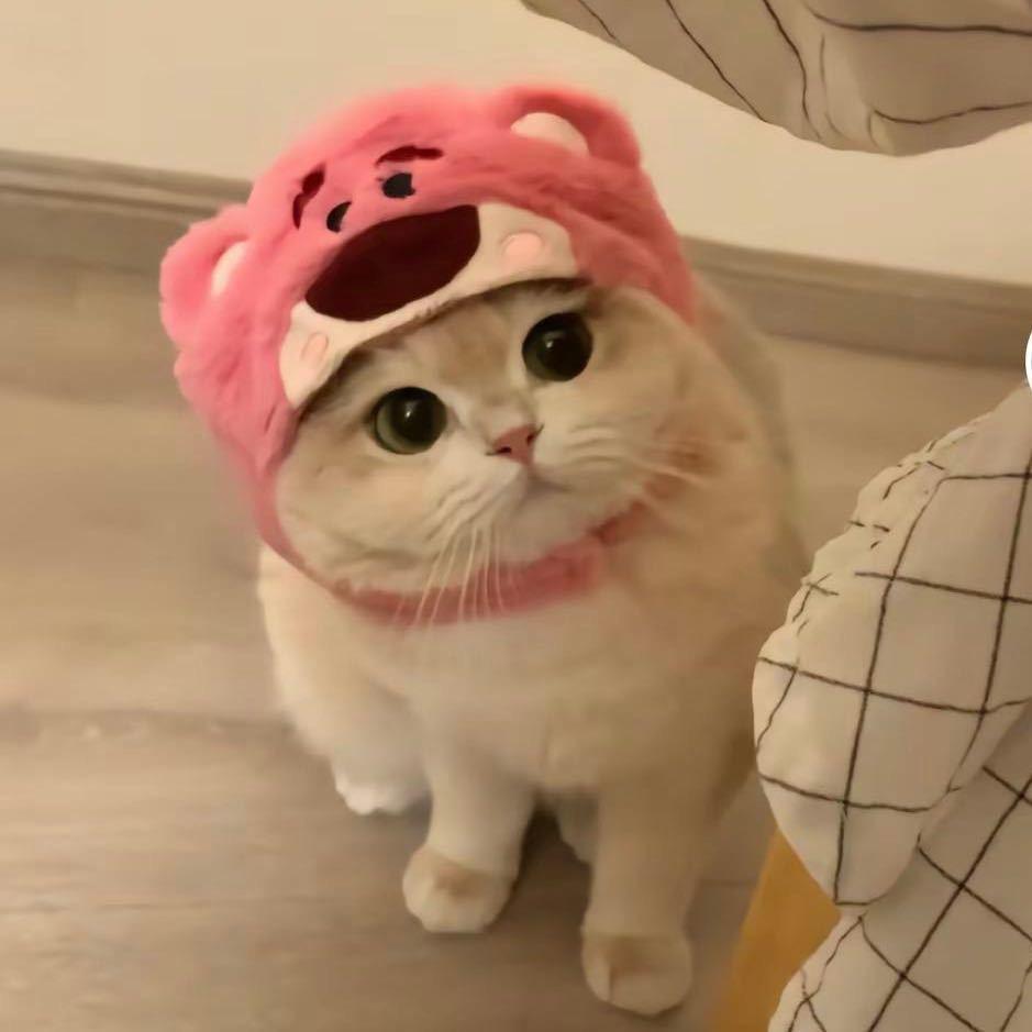 ❄️雪封了心❄️