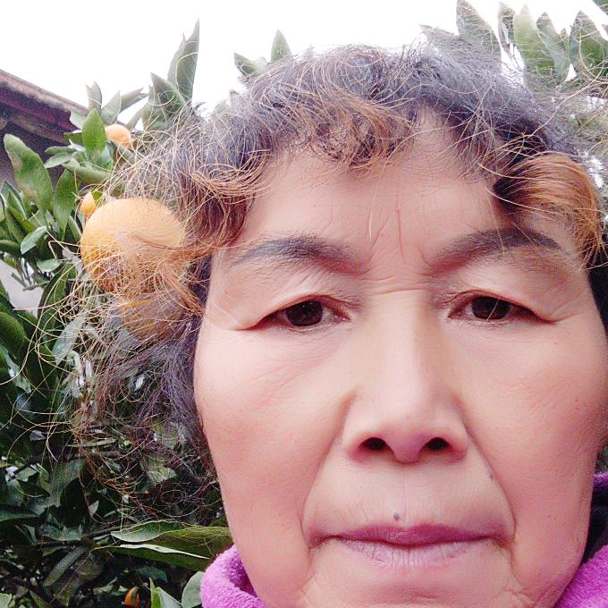 张小琴