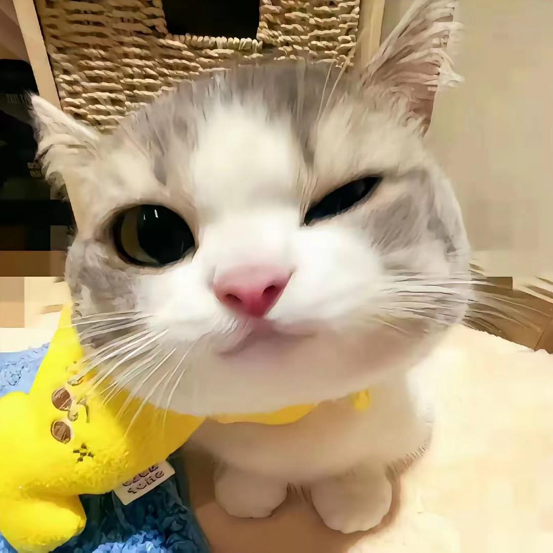 小小蛋挞