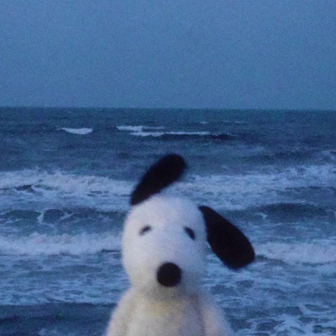 鼠鼠得吃点好的