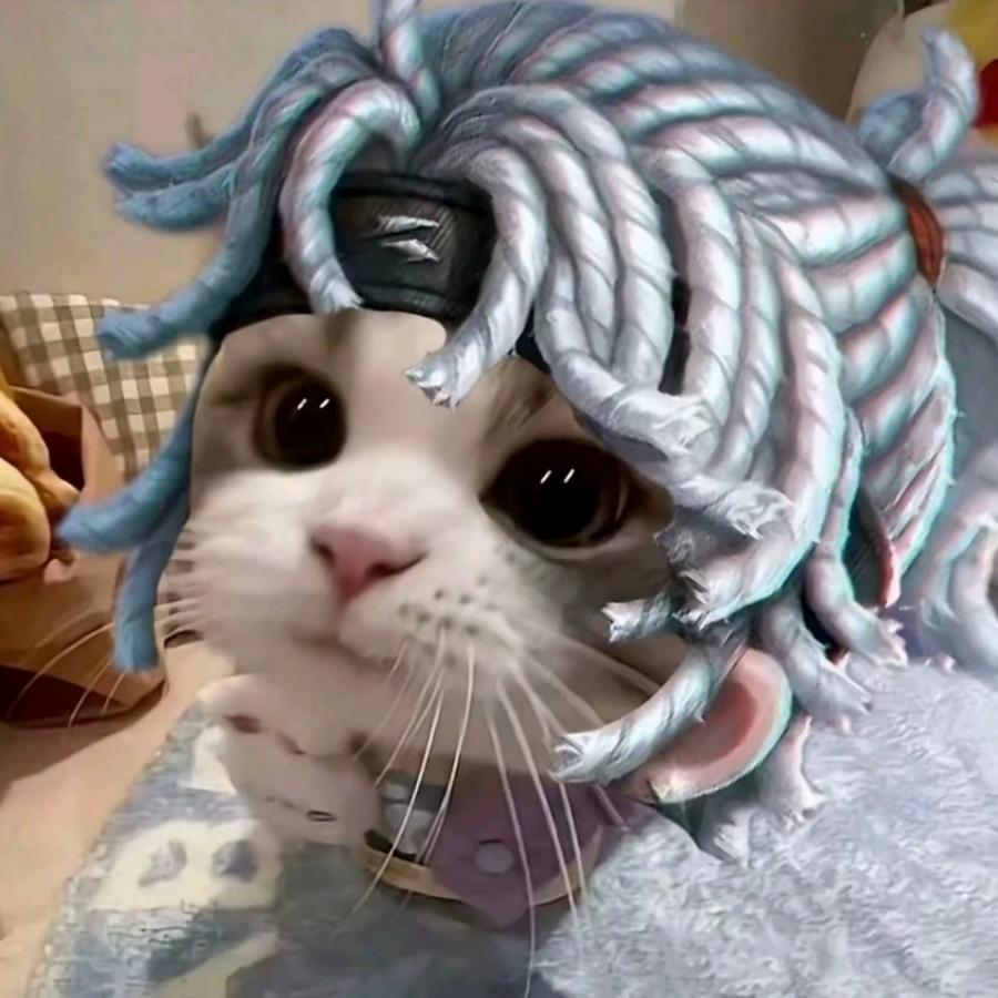 陈馨妈妈