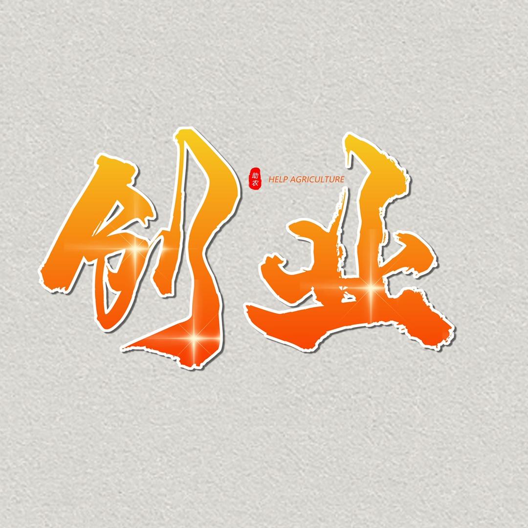 创业青年