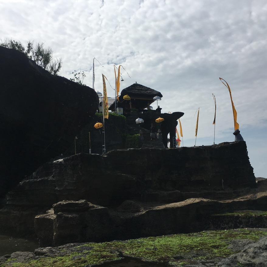 子非鱼