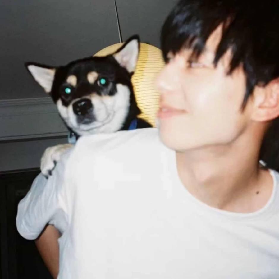 保定PD接发-子烨