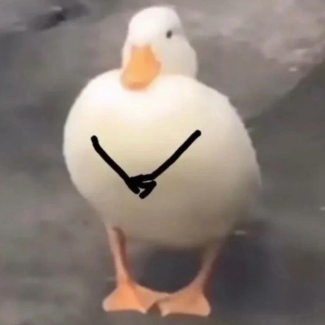 雅雅物语