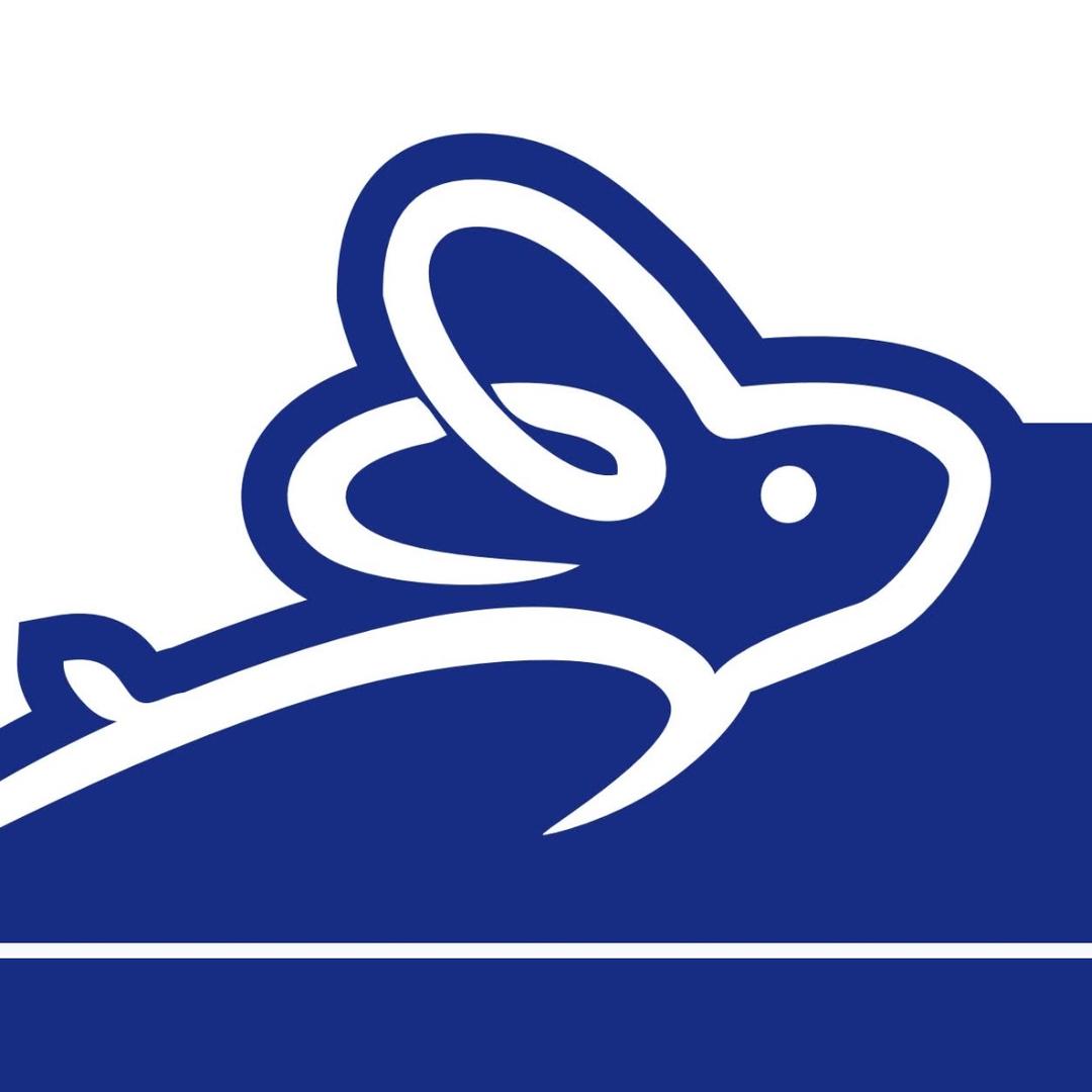 新蓝图&茹老师说升学