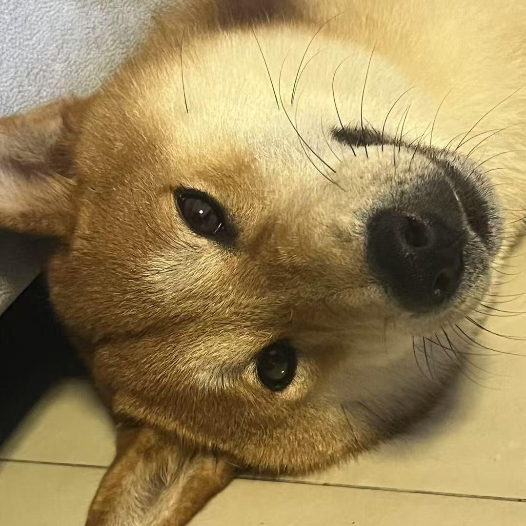 次鳖键盘