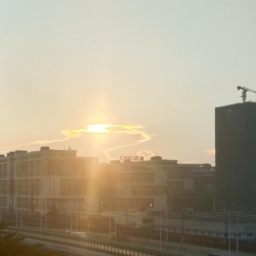 yangliu