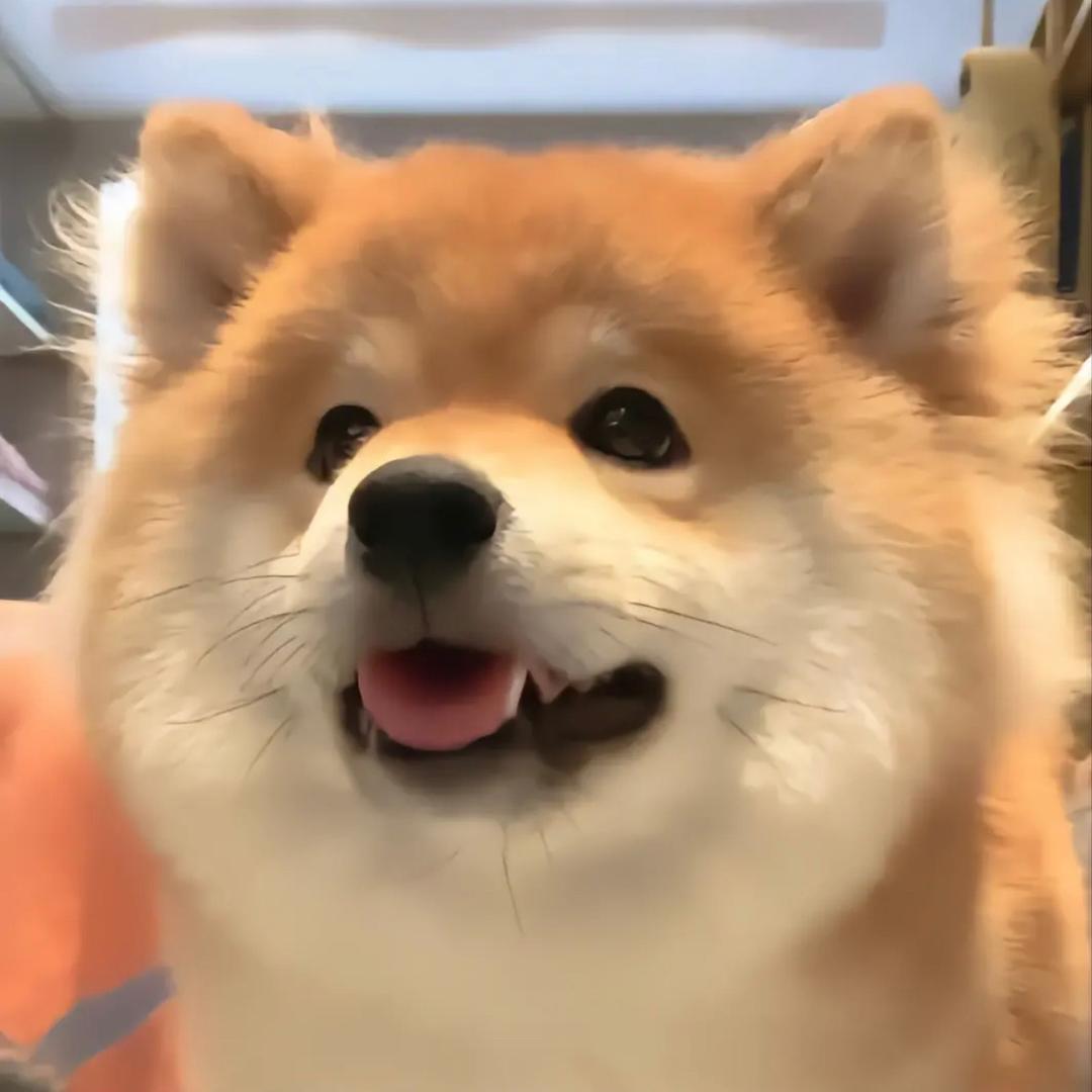 蛋挞^ ^