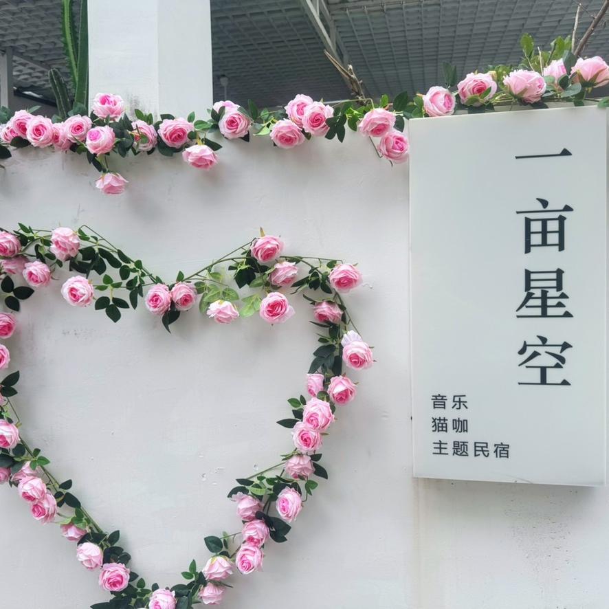 晶晶-三亚天涯区一亩星空民宿店