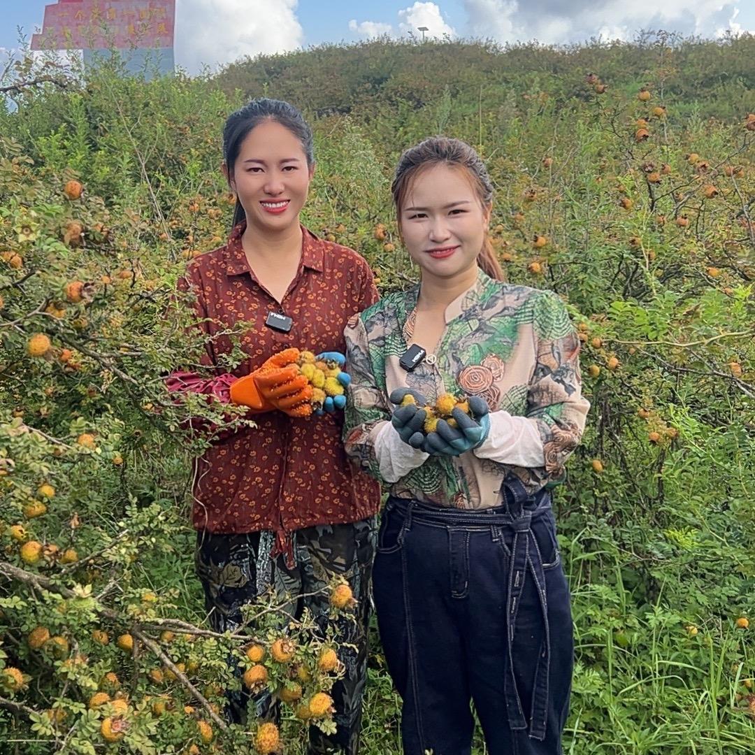 贵州小四妹（生活号1）