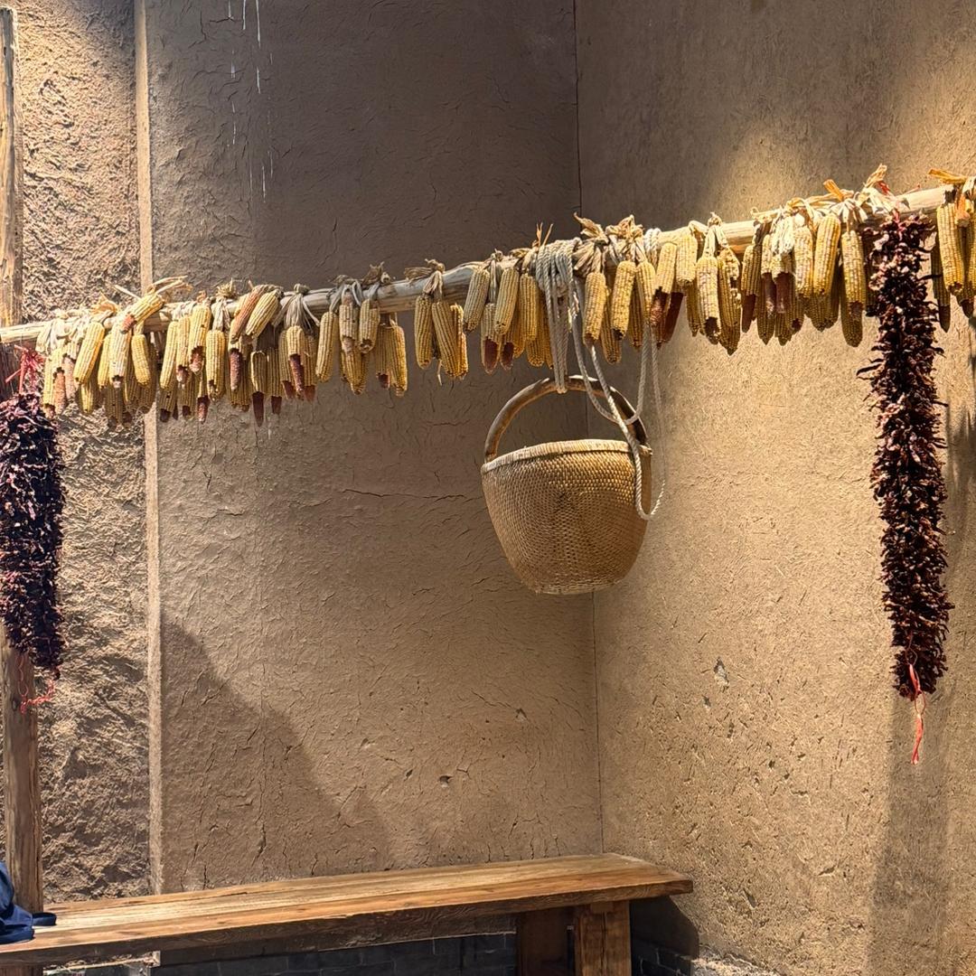 农村二老的生活