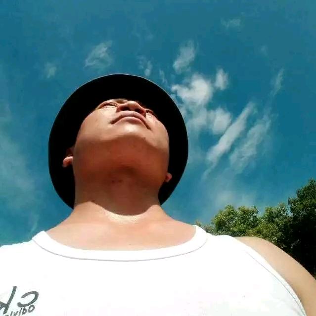 树叶黄了