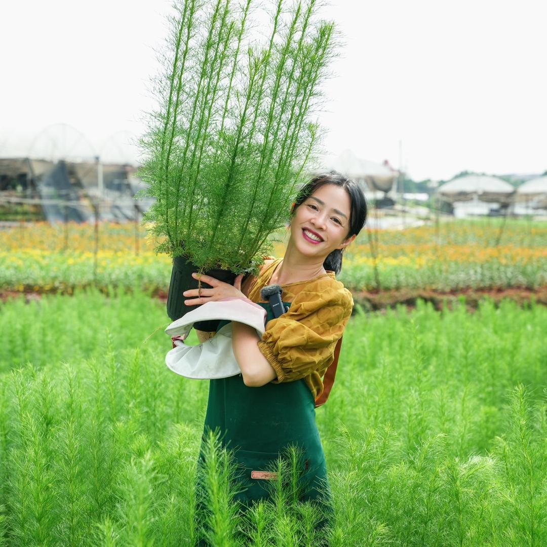 箐禾花园.