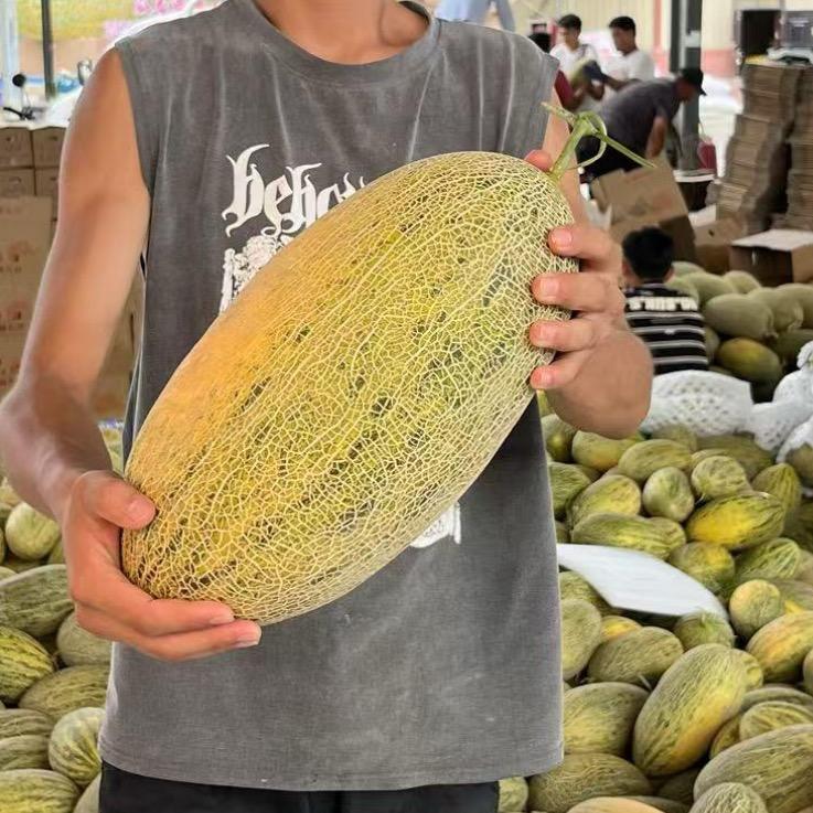甚专营店百货直播