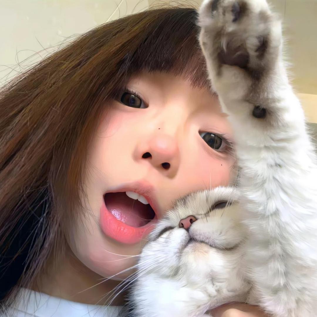 猫猫.