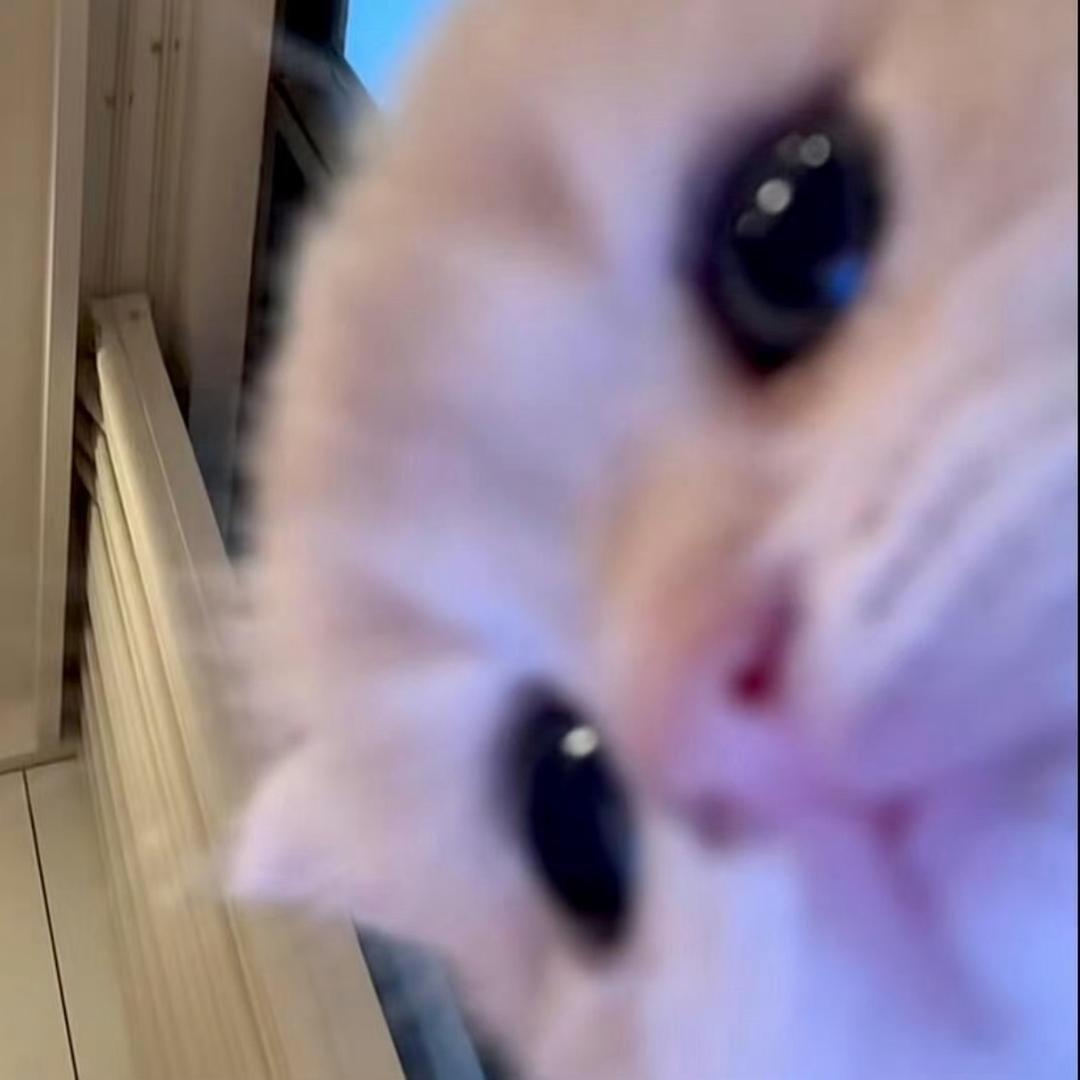 怡怡酱的小铺