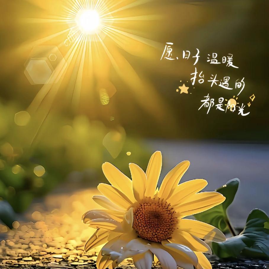 💞周家三小姐🌈