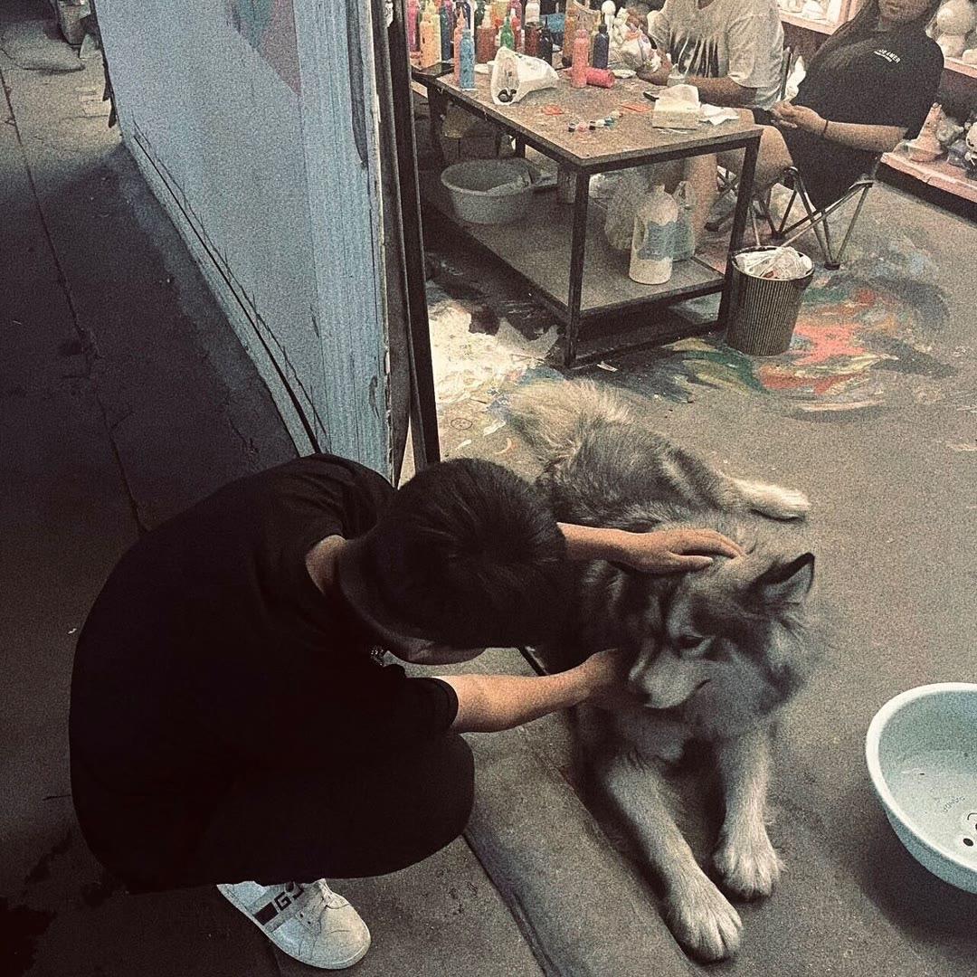 奎暴猕