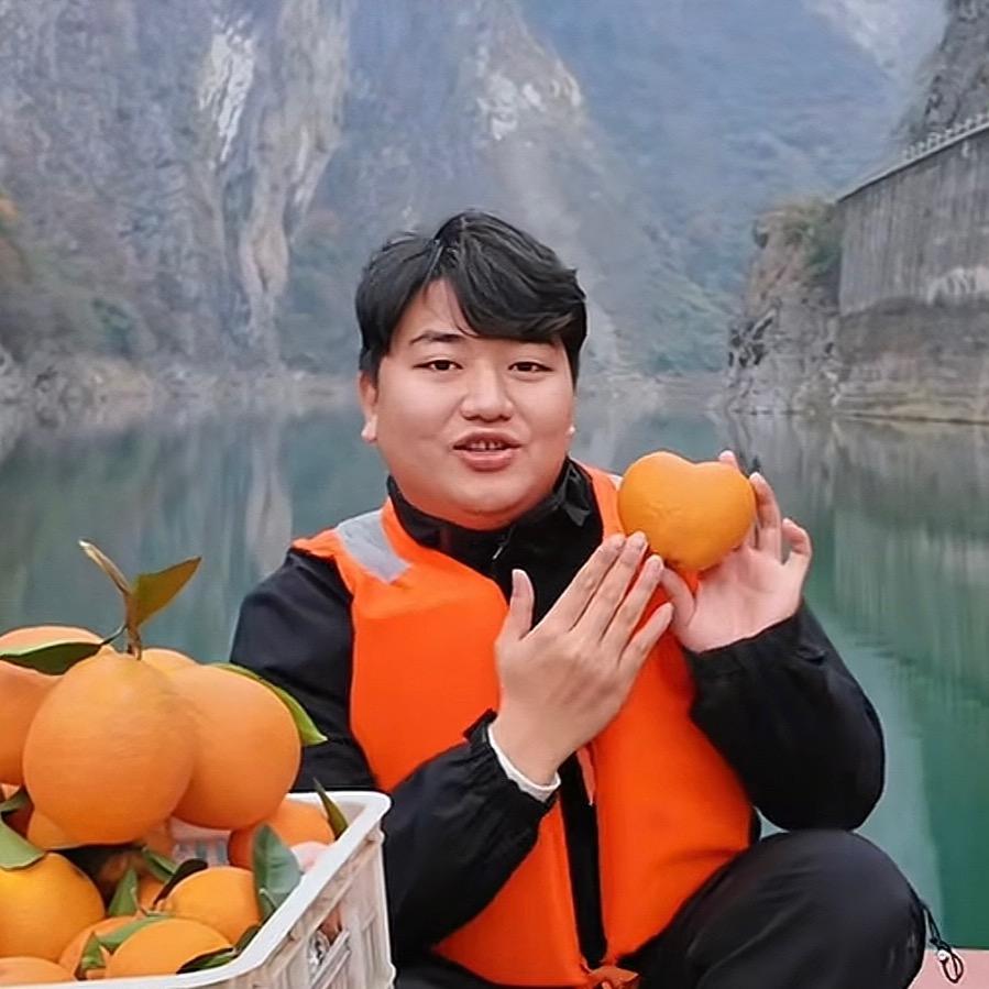全进华惠选