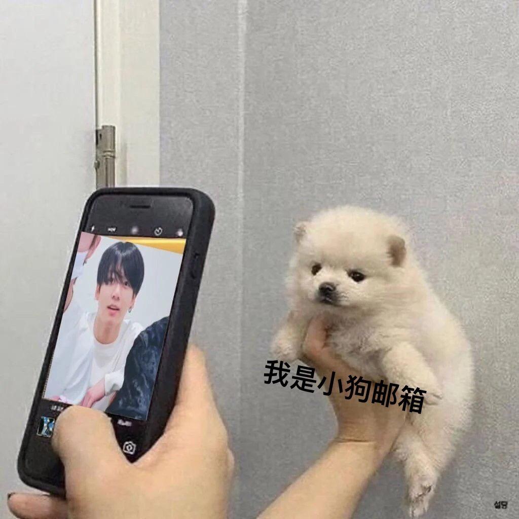 崽仔. O.o .