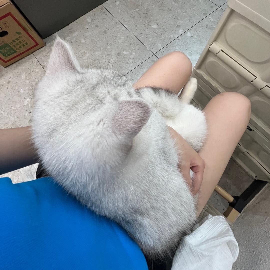 念念