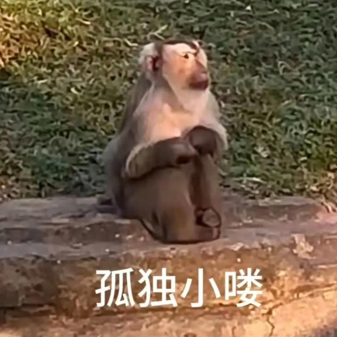住在蟹黄堡的加菲猫