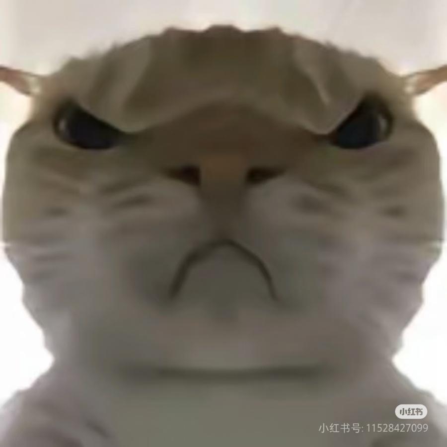 呃.......