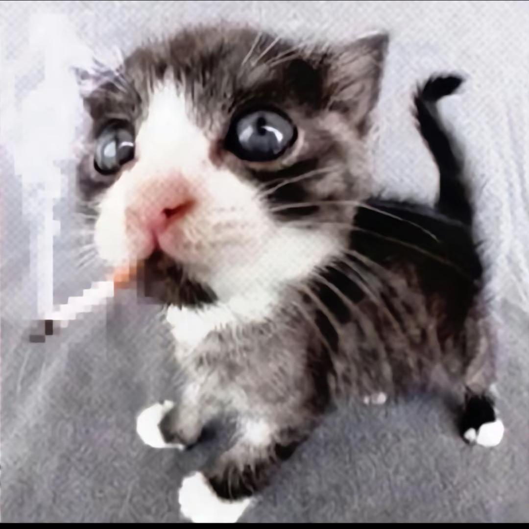 𝐃𝐨𝐮𝐛𝐥𝐞𝟵𝐭𝐰𝐨^