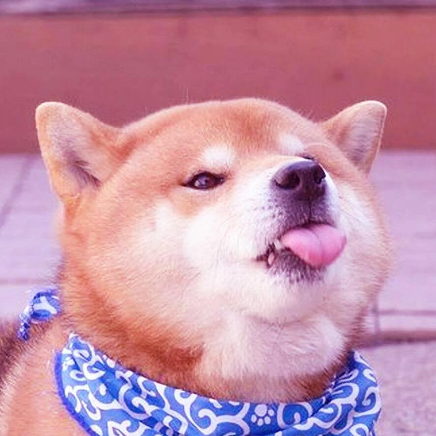小黑带你玩