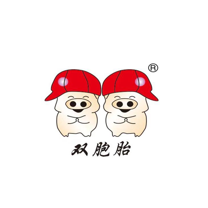 宁乡双胞胎工厂招聘