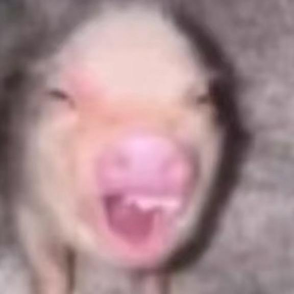 123