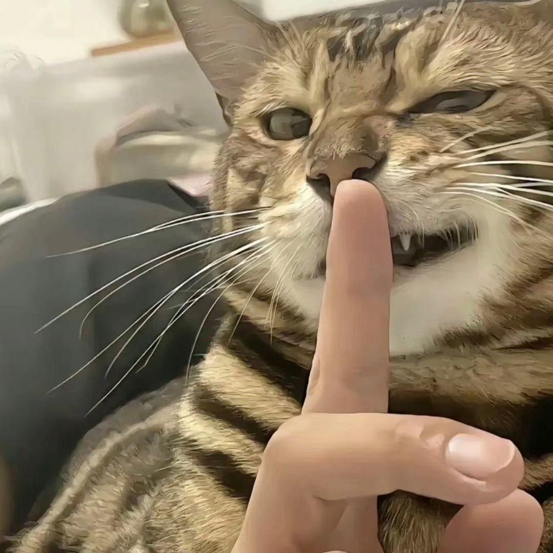 69129329723