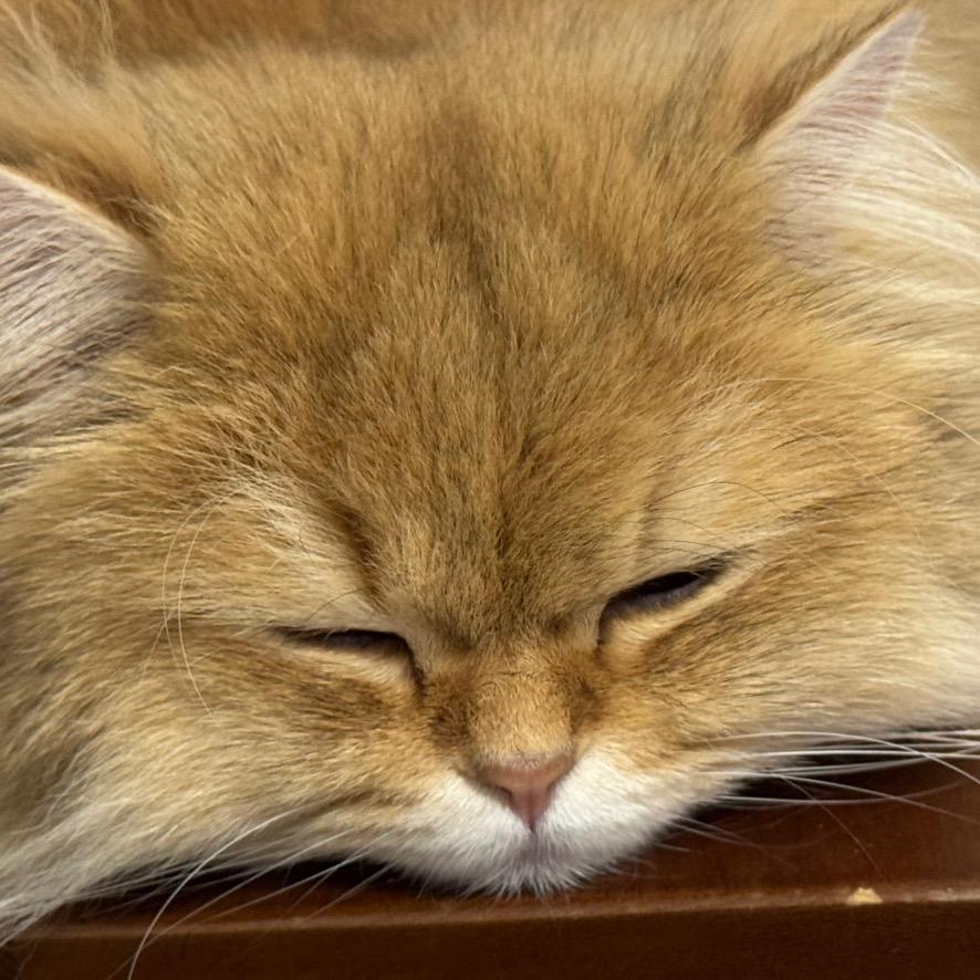 教英语的周老师👩‍🏫