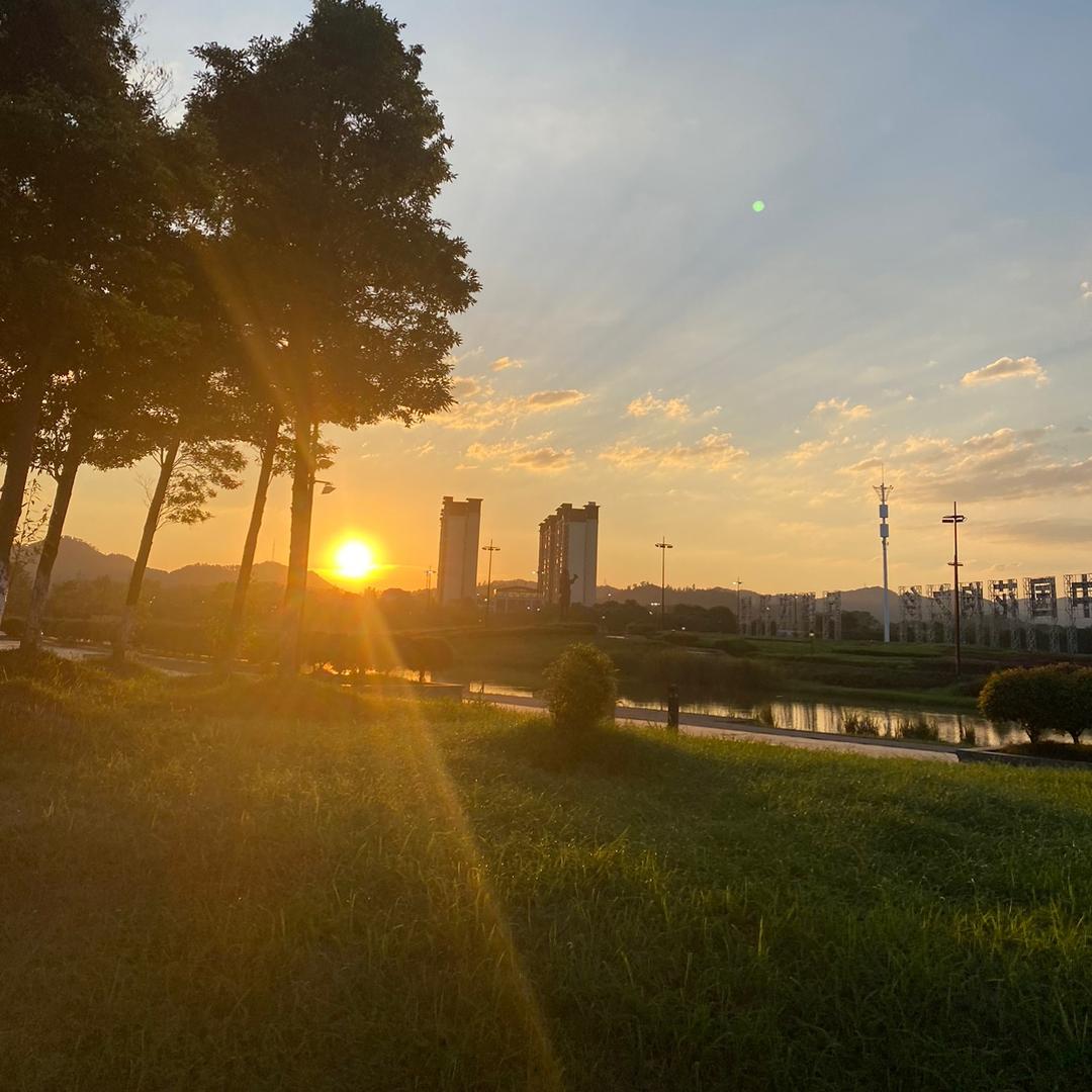 曼播