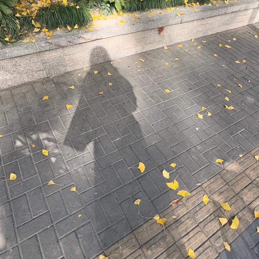 日记本