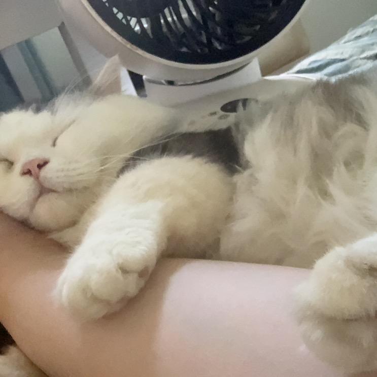爱唱歌的人