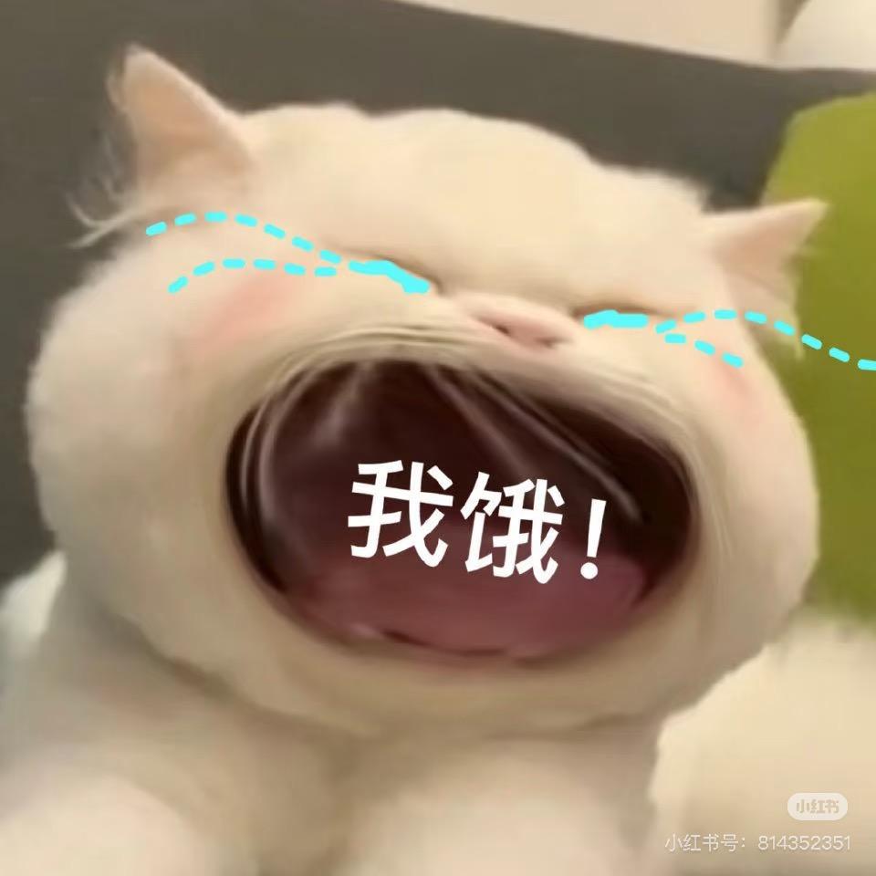 千雪樱的梦