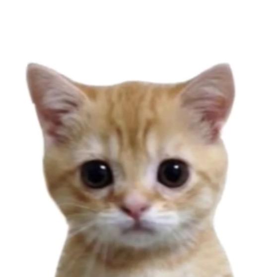 79
