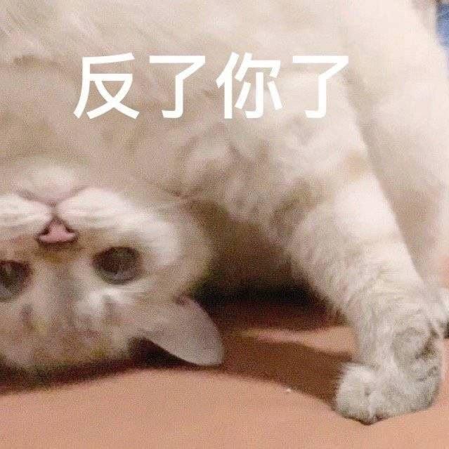 又要睡觉啦