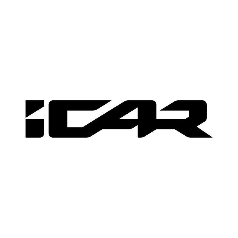 iCAR阜阳安奇交付