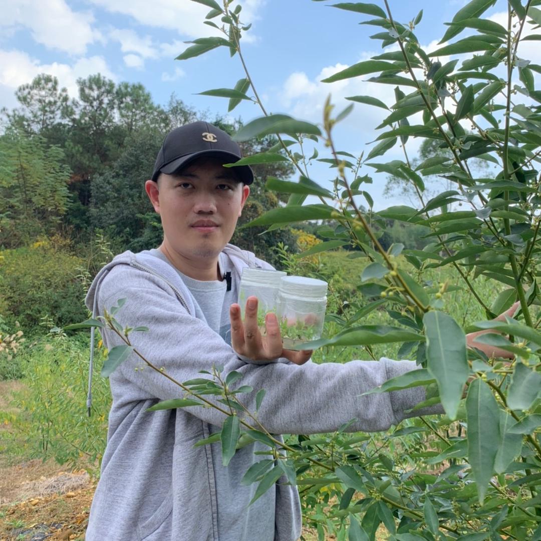 鹏程的山货铺